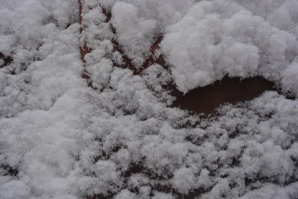 Fondo Invierno Nieve Adherente Hermoso Corte Nieve Grande Una Hoja — Foto de Stock