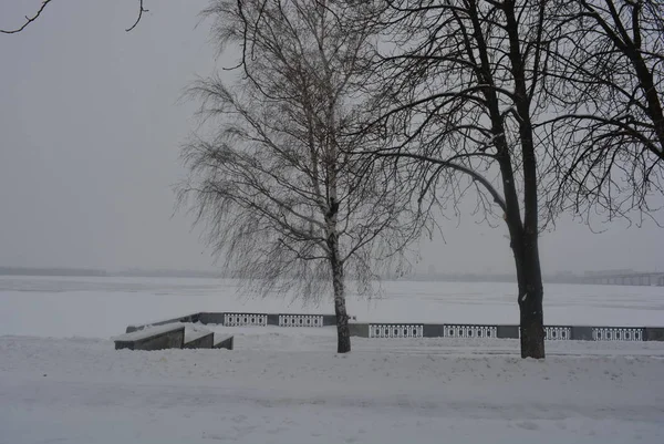 Zimą Pięknej Promenady Brzozy Drzew Biały Śnieg Nasyp Wzdłuż Rzeki — Zdjęcie stockowe
