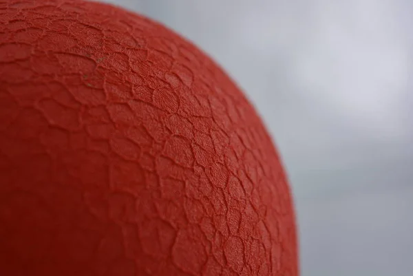 Fondo Rojo Escarlata Brillante Estructural Jarrón Redondo Para Plantas Flores —  Fotos de Stock