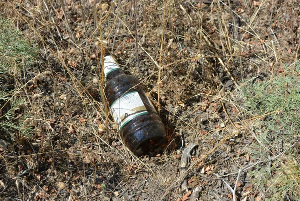 地上のビールの下から投げ出されたガラス瓶は 人の行動ではなく ゴミ箱 — ストック写真