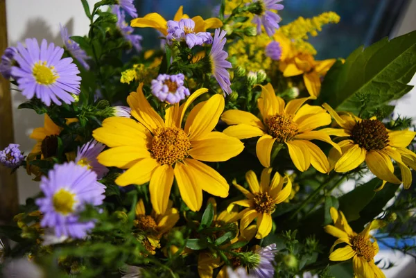 Красиві Українські Польові Квіти Різними Квітами Суцвіття Жовтого Фіолетового Кольору — стокове фото