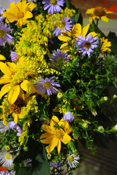 Красиві Українські Польові Квіти Різними Квітами Суцвіття Жовтого Фіолетового Кольору — стокове фото