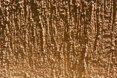 Kahverengi yapısal sokak sıva, güneş ışığında dış dekorasyon için kabuk böceği bina boya.