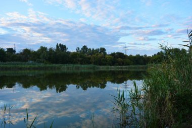 Yeşil tepeler, sıradışı ağaçlar, sazlık ve Kuzey ve Samara Nehri, Dnipro, Ukrayna şehir yerleşim alanında bitki örtüsü ile Küçük doğal Gölü Pishchevoye.