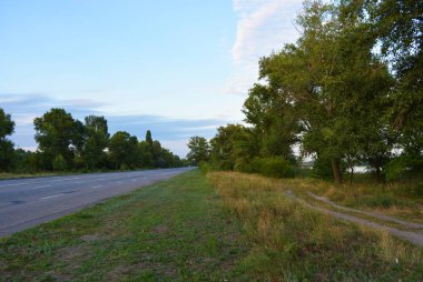 Parlak yaz yeşillik leri ve büyük ağaçlar, Dnipro, Ukrayna ile Mareşal Malinovsky sokakta uzun gri asfalt yol.