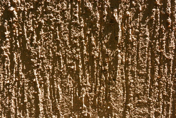 Brown Strukturella Street Bark Beetle Bygg Färg För Utomhus Dekoration — Stockfoto