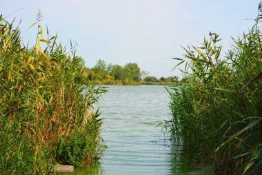 Pitoresk dik bankalar ve sahil, ağaçlar, yeşillikve zengin gökyüzü ile Samara Nehri güzel bir görünüm. Konut emlak parlak ve unutulmaz doğa, Shevchenko, Dnipro, Ukrayna.