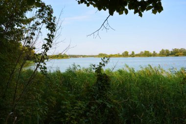 Pitoresk dik bankalar ve sahil, ağaçlar, yeşillikve zengin gökyüzü ile Samara Nehri güzel bir görünüm. Konut emlak parlak ve unutulmaz doğa, Shevchenko, Dnipro, Ukrayna.