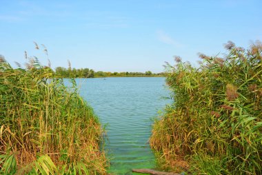 Pitoresk dik bankalar ve sahil, ağaçlar, yeşillikve zengin gökyüzü ile Samara Nehri güzel bir görünüm. Konut emlak parlak ve unutulmaz doğa, Shevchenko, Dnipro, Ukrayna.
