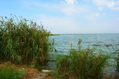 Pitoresk dik bankalar ve sahil, ağaçlar, yeşillikve zengin gökyüzü ile Samara Nehri güzel bir görünüm. Konut emlak parlak ve unutulmaz doğa, Shevchenko, Dnipro, Ukrayna.