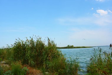 Pitoresk dik bankalar ve sahil, ağaçlar, yeşillikve zengin gökyüzü ile Samara Nehri güzel bir görünüm. Konut emlak parlak ve unutulmaz doğa, Shevchenko, Dnipro, Ukrayna.