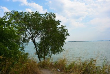 Pitoresk dik bankalar ve sahil, ağaçlar, yeşillikve zengin gökyüzü ile Samara Nehri güzel bir görünüm. Konut emlak parlak ve unutulmaz doğa, Shevchenko, Dnipro, Ukrayna.