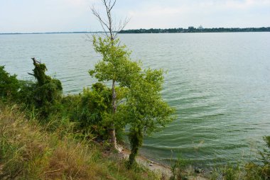 Pitoresk dik bankalar ve sahil, ağaçlar, yeşillikve zengin gökyüzü ile Samara Nehri güzel bir görünüm. Konut emlak parlak ve unutulmaz doğa, Shevchenko, Dnipro, Ukrayna.