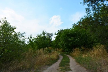 Samara Nehri yakınında alışılmadık bir manzara ve orman güzelliği ile güzel doğal arka plan. Shevchenko konut emlak, Dnipro şehir, Ukrayna yeşil tepeler, ağaçlar, parlak gökyüzü ile çalılar.