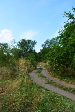 Samara Nehri yakınında alışılmadık bir manzara ve orman güzelliği ile güzel doğal arka plan. Shevchenko konut emlak, Dnipro şehir, Ukrayna yeşil tepeler, ağaçlar, parlak gökyüzü ile çalılar.