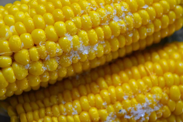 Ízletes Sárga Főtt Ukrán Két Sütőtök Kukorica Lefektetett Lemezeken Zöld — Stock Fotó