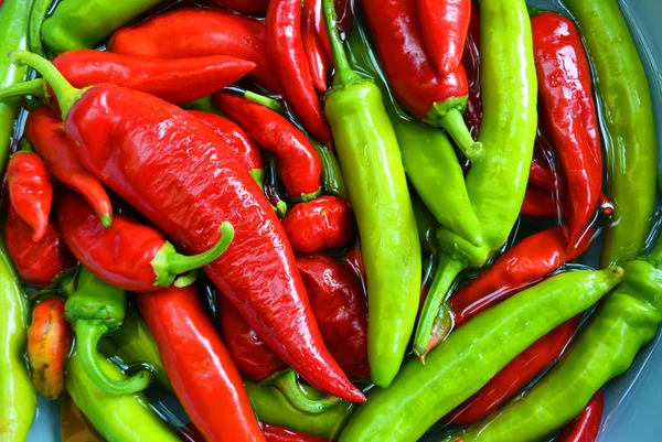 Su, sağlıklı gıda ve sağlık için sebze parlak sıcak kırmızı ve yeşil Ukrayna biber.