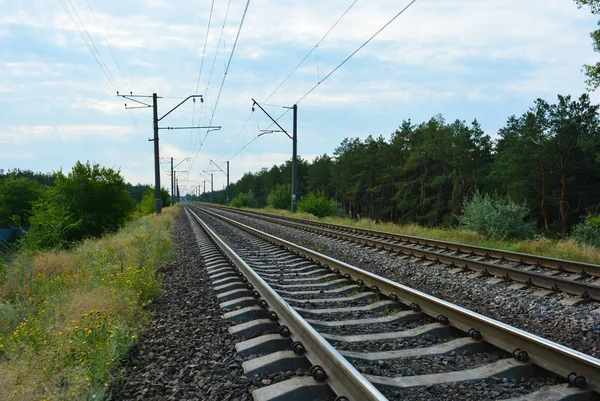 Demiryolu, demiryolu ve elektrikli araçlar için elektrik hatları, mavi gökyüzü, bulutlar ile iğne yapraklı ormanlar boyunca yatan elektrikli trenler. Severny konut emlak altyapısı, Dnipro, Ukrayna.