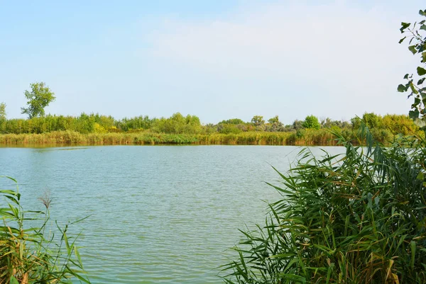 Pitoresk dik bankalar ve sahil, ağaçlar, yeşillikve zengin gökyüzü ile Samara Nehri güzel bir görünüm. Konut emlak parlak ve unutulmaz doğa, Shevchenko, Dnipro, Ukrayna.