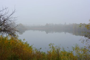Güzel manzara, sonbahar doğası. Kariyer Gölü, Dinyeper şehri, Ukrayna üzerinde yoğun sis. Uzun ağaçlar ve temiz ve güzel bir göl etrafında sarı yapraklı büyük çalılar..