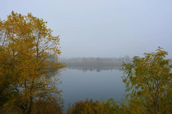 乌克兰第聂伯市 美丽的风景 秋天的自然 职业湖上笼罩着白雾 清澈美丽的湖畔 长着高大的树木和黄叶的大灌木 — 图库照片