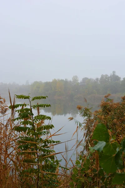 Prachtig Landschap Herfstnatuur Met Witte Dichte Mist Career Lake Dnipro — Stockfoto