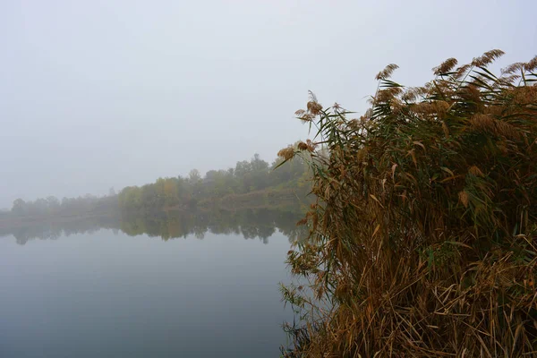 Beautiful Landscape Autumnal Nature White Dense Fog Career Lake Dnipro — Stock Photo, Image