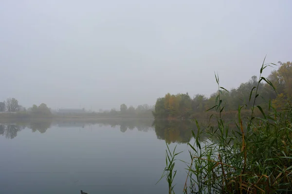 Красивый Пейзаж Осенняя Природа Белым Густым Туманом Над Карьерным Озером — стоковое фото