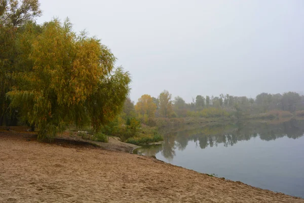 乌克兰第聂伯市 美丽的风景 秋天的自然 职业湖上笼罩着白雾 清澈美丽的湖畔 长着高大的树木和黄叶的大灌木 — 图库照片
