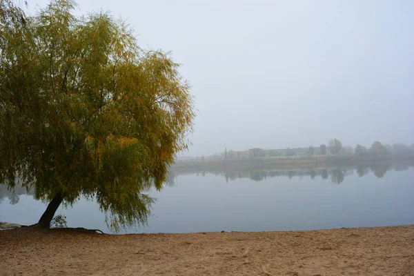 乌克兰第聂伯市 美丽的风景 秋天的自然 职业湖上笼罩着白雾 清澈美丽的湖畔 长着高大的树木和黄叶的大灌木 — 图库照片