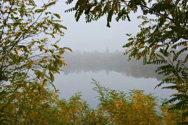 乌克兰第聂伯市 美丽的风景 秋天的自然 职业湖上笼罩着白雾 清澈美丽的湖畔 长着高大的树木和黄叶的大灌木 — 图库照片