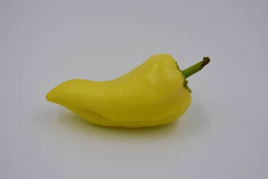 Bir tane sarı dolmalık biber, beyaz arka planda bulunan acı, tatlı, çıtır biber olmasın. Ukrayna 'da yetişen sebzeler, her gün sağlıklı ve sağlıklı yiyecekler..