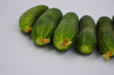 Genç sulu salatalıklar, Ukrayna salatalığı hasadı beyaz arka planda düzenlenmiş. Taze sebzeler, günlük sağlıklı yiyecekler..