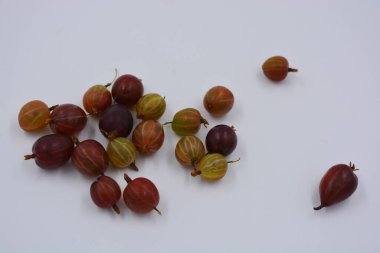 Kırmızı sulu bektaşi üzümlerinden oluşan lezzetli olgun meyveler beyaz bir arka planda parlak ışıklandırmayla bir avuç dolusu düzenlenmiş. İnsan vücudu için yararlı ve sağlıklı yiyecekler, lezzetli tatlı ve ekşi meyveler..