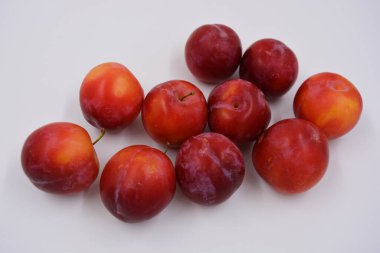 Kırmızı, vişneli eriğin erken çeşidi, Ukrayna topraklarında büyür ve büyür. Lezzetli tatlı yaz meyveleri, insan diyetinde taze ve sağlıklı meyveler.