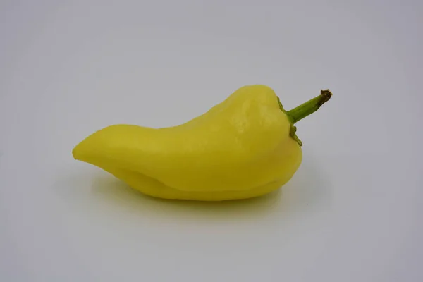 Jedna Žlutá Paprika Horká Sladká Křupavá Paprika Umístěná Bílém Pozadí — Stock fotografie