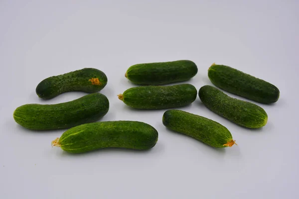 Young Juicy Cucumbers Ukrainian Cucumber Harvest Arranged White Background Fresh — Stock Photo, Image