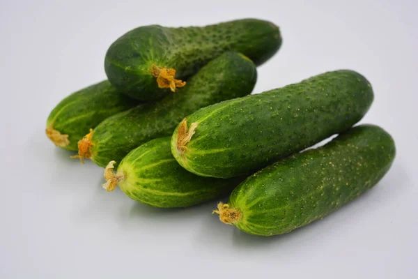 Jonge Sappige Komkommers Oekraïense Komkommer Oogst Geregeld Een Witte Achtergrond — Stockfoto