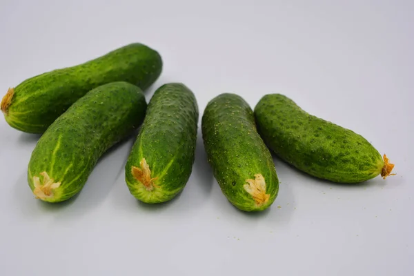 Junge Saftige Gurken Ukrainische Gurkenernte Auf Weißem Hintergrund Frisches Gemüse — Stockfoto