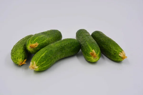 Young Juicy Cucumbers Ukrainian Cucumber Harvest Arranged White Background Fresh — Stock Photo, Image