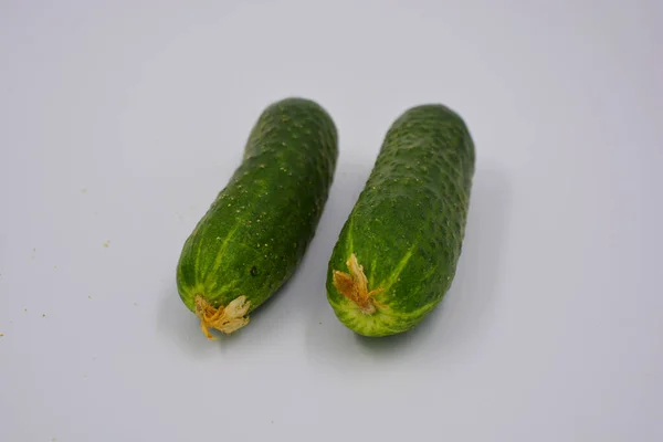 Young Juicy Cucumbers Ukrainian Cucumber Harvest Arranged White Background Fresh — Stock Photo, Image