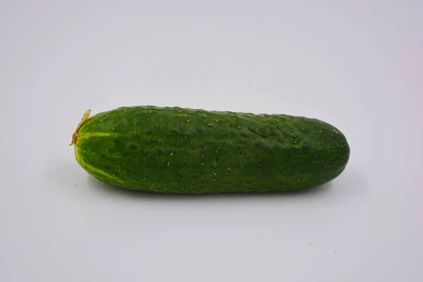 Een Jonge Komkommer Voor Beitsen Oekraïense Komkommer Oogst Geregeld Een — Stockfoto