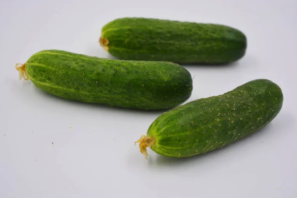 Jonge Sappige Komkommers Oekraïense Komkommer Oogst Geregeld Een Witte Achtergrond — Stockfoto