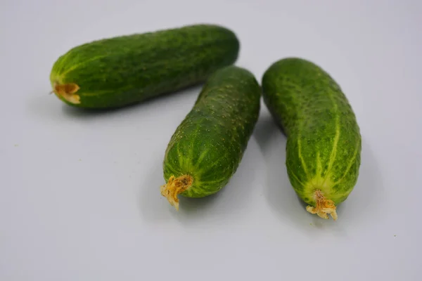 Jonge Sappige Komkommers Oekraïense Komkommer Oogst Geregeld Een Witte Achtergrond — Stockfoto