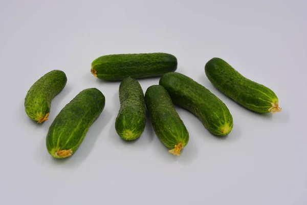 Jonge Sappige Komkommers Oekraïense Komkommer Oogst Geregeld Een Witte Achtergrond — Stockfoto