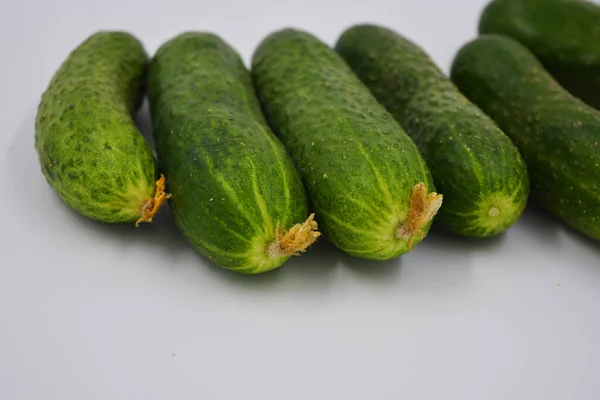 Jonge Sappige Komkommers Oekraïense Komkommer Oogst Geregeld Een Witte Achtergrond — Stockfoto