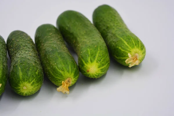 Jonge Sappige Komkommers Oekraïense Komkommer Oogst Geregeld Een Witte Achtergrond — Stockfoto