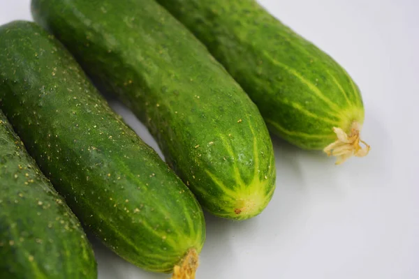 Jonge Sappige Komkommers Oekraïense Komkommer Oogst Geregeld Een Witte Achtergrond — Stockfoto
