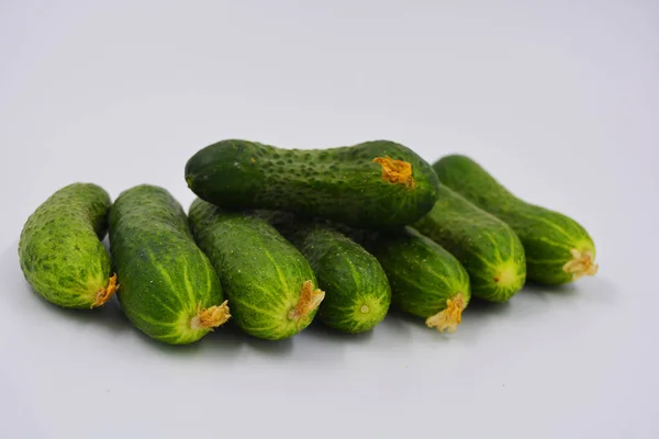 Junge Saftige Gurken Ukrainische Gurkenernte Auf Weißem Hintergrund Frisches Gemüse — Stockfoto