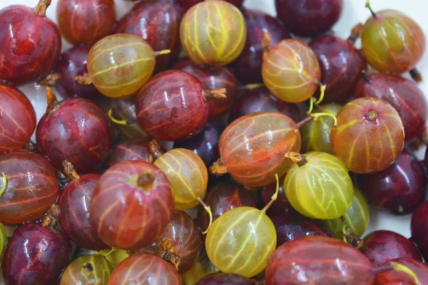 Frescos Grosellas Rojas Maduras Colocan Chapan Una Placa Arcilla Blanca — Foto de Stock